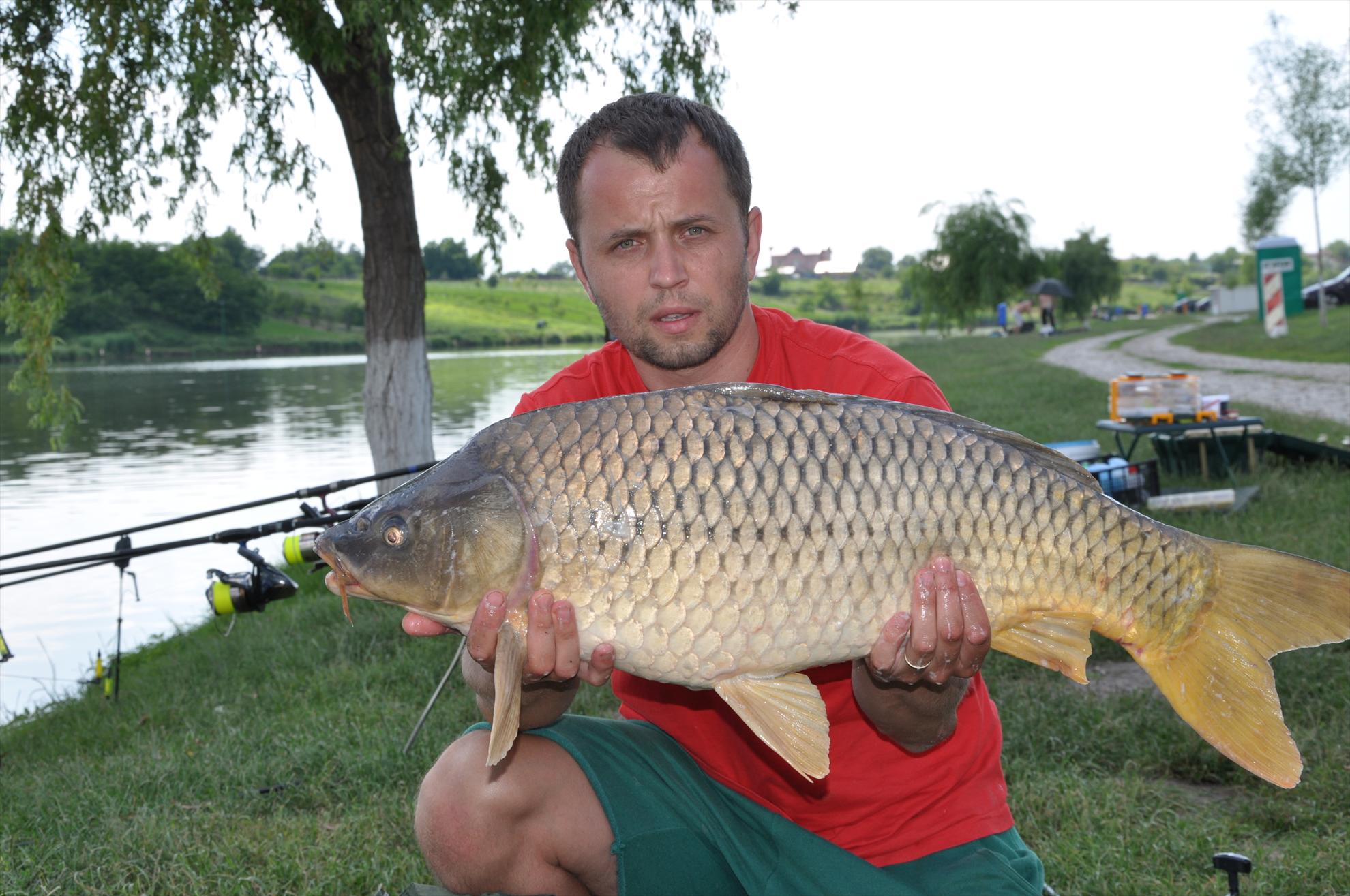 MV 2/3- 09/06/2013 - dsc0048.JPG